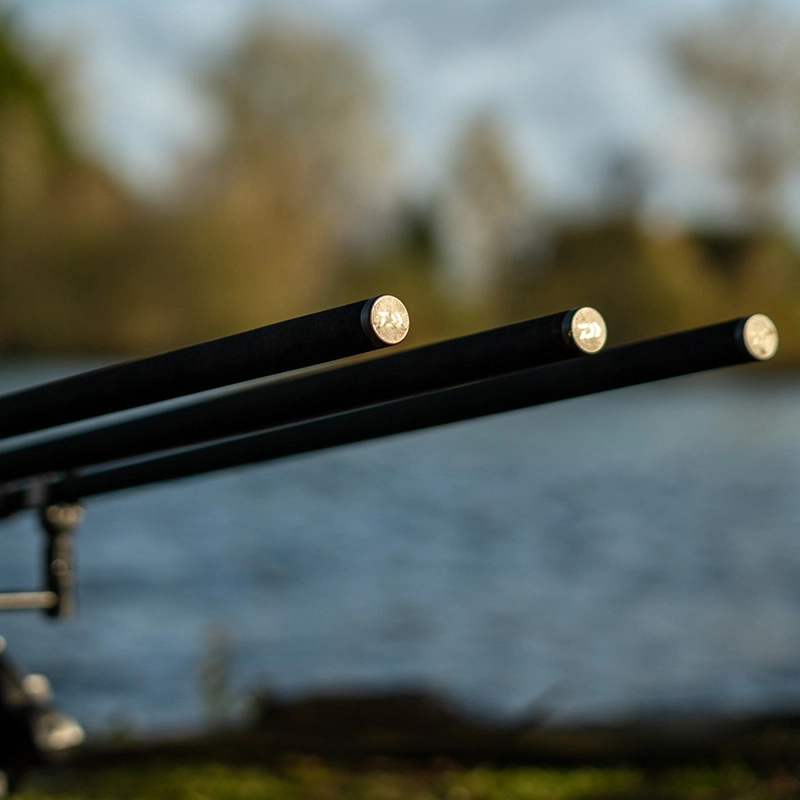 Daiwa Black Widow + Carp Rods